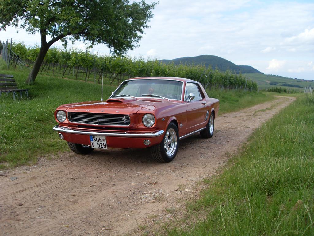 Mustang2.JPG