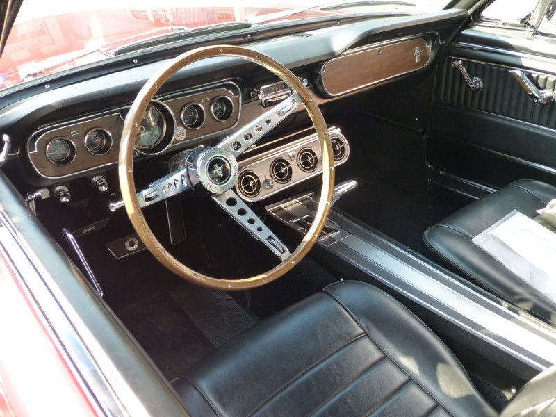 Thomas_P6_Fastback3.jpg