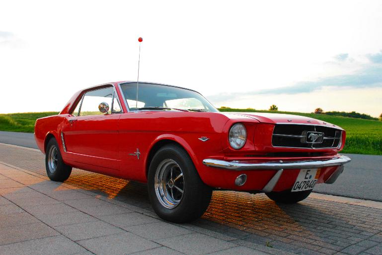 Mustang1.jpg