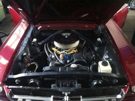 mustang2.jpg