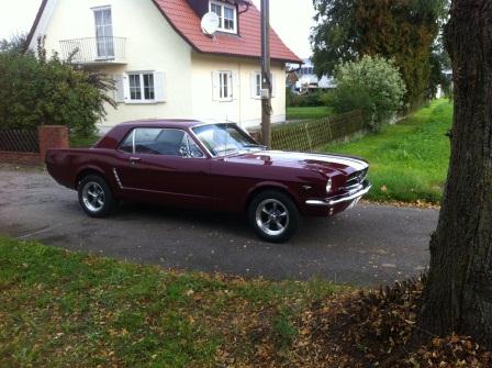 mustang3.jpg
