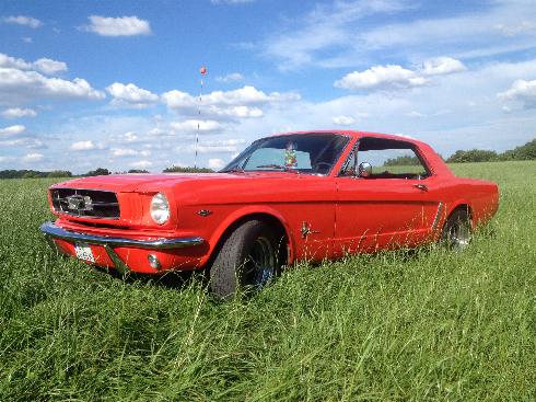 2013-08-03 17.53.50.jpg
