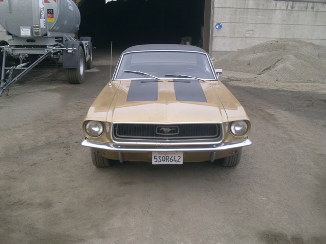 05042012657.jpg