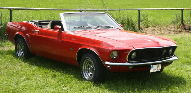 Mustang Totalansicht.jpg