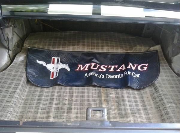Mustang 6.JPG