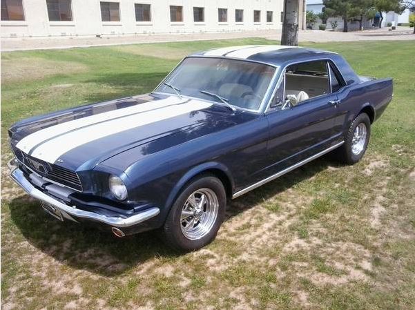 Mustang 1.JPG