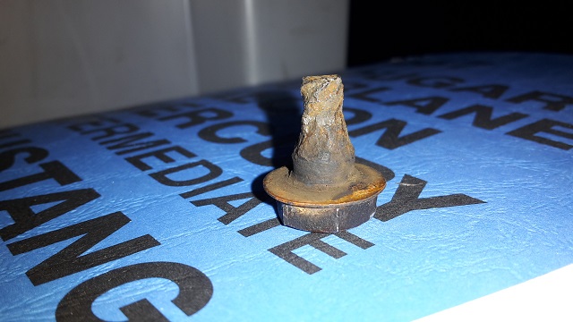 20150426_204005.jpg