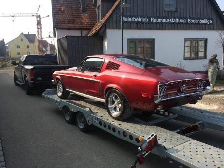 Mustang2.JPG