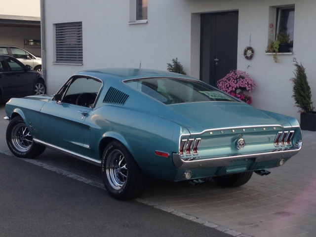 Mustang_Klein_1.JPG