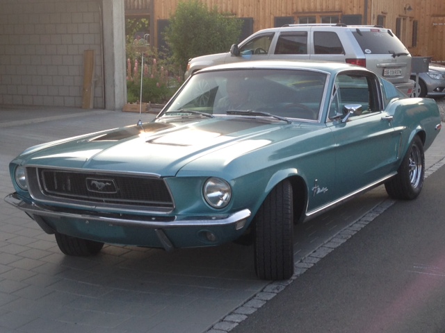 Mustang_Klein2.JPG