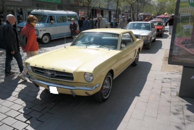 Mustang3.jpg