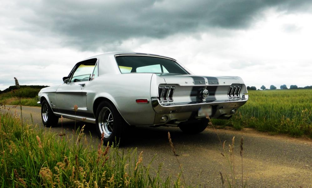 K800_mustang 4.JPG