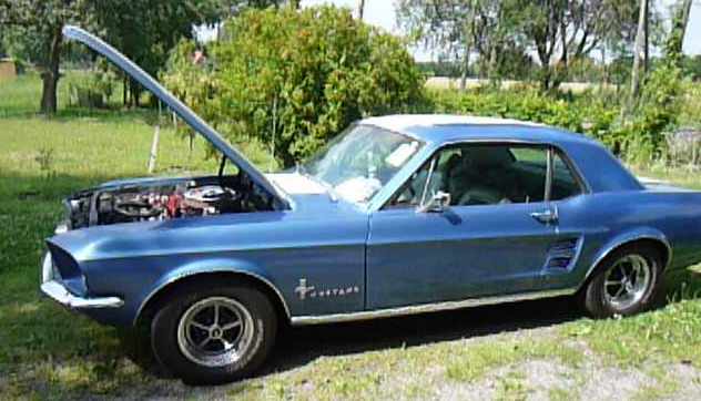 Mustang.JPG