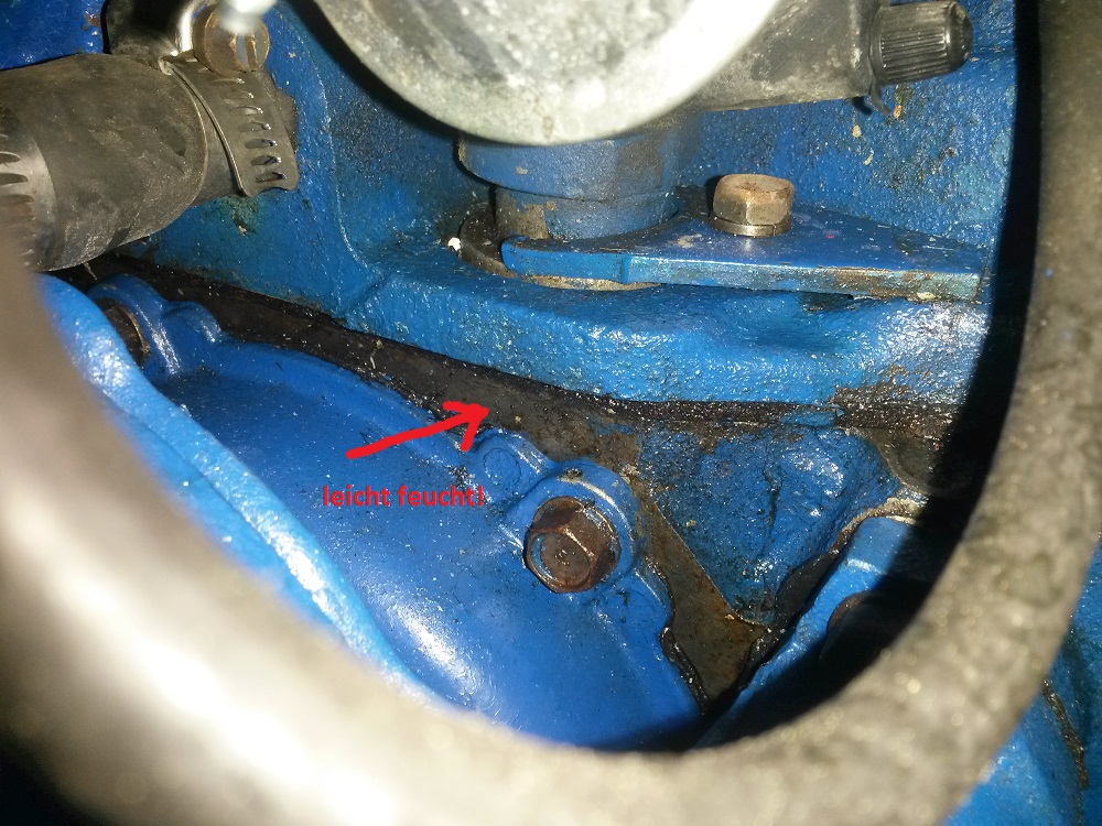 motor vorn.jpg