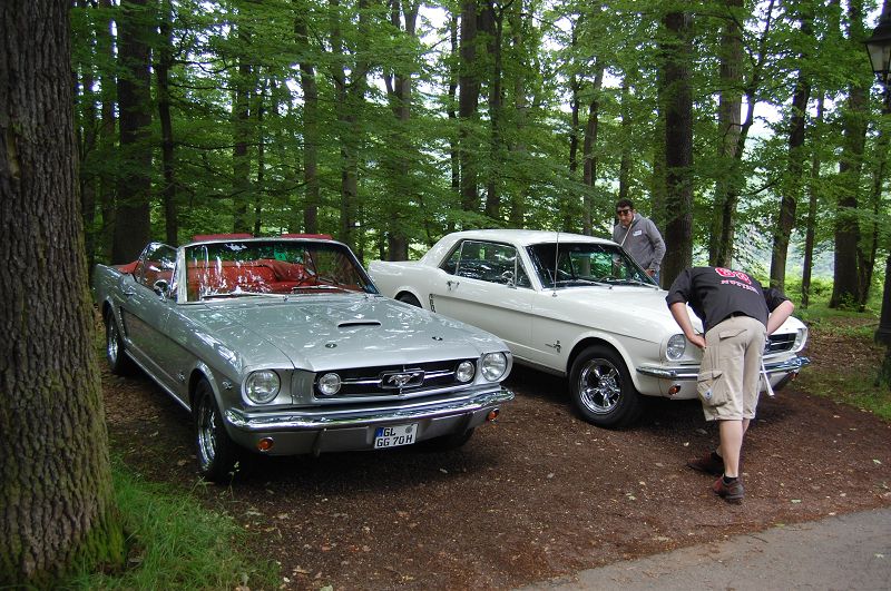 k-DSC_0028.JPG