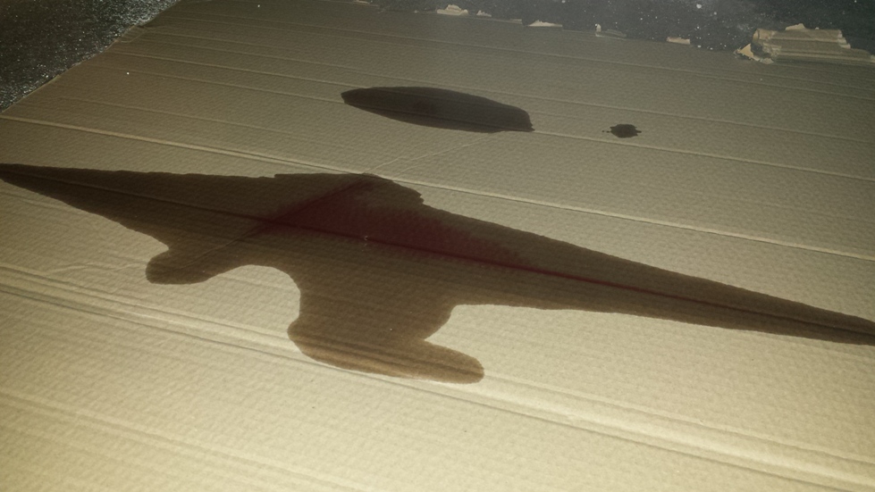 20150725_122339.jpg