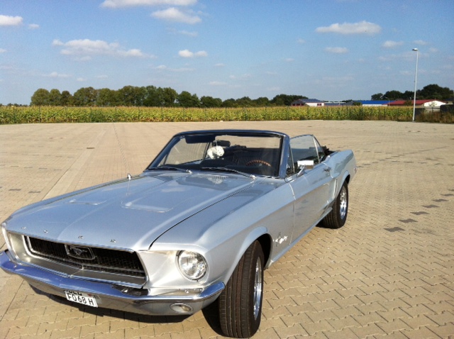Mustang.JPG