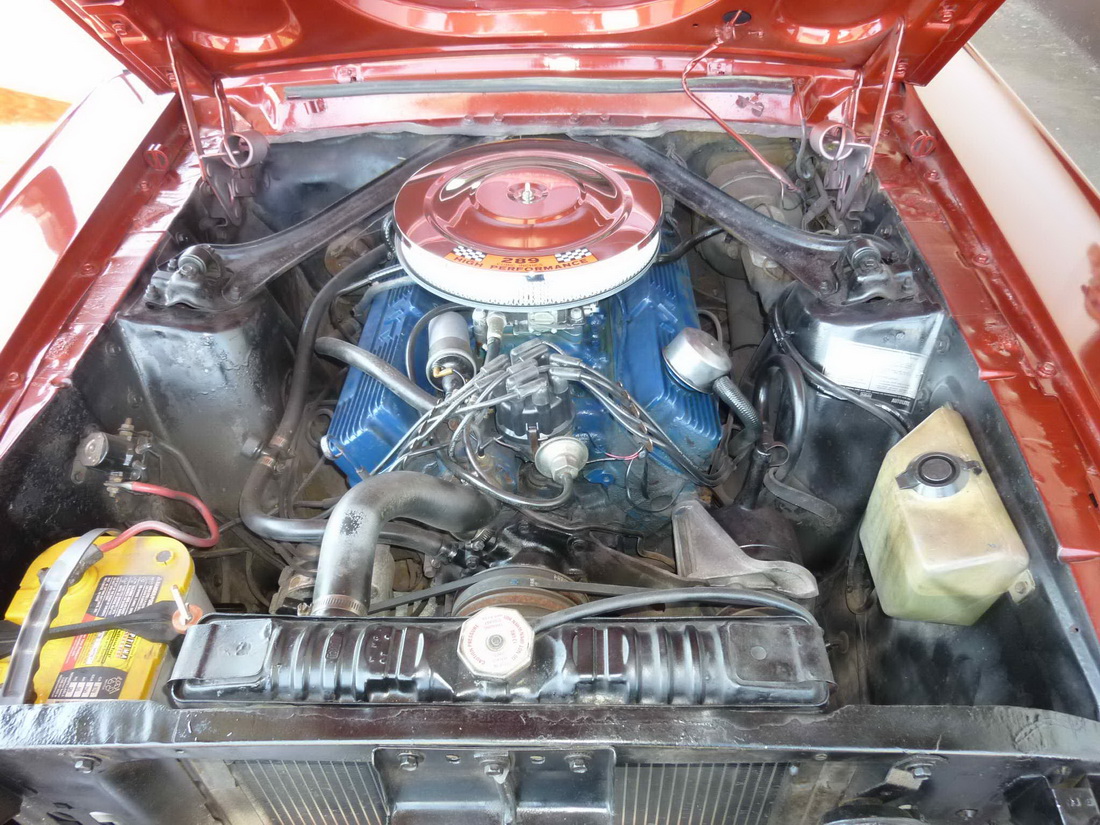 P1060285_2.jpg