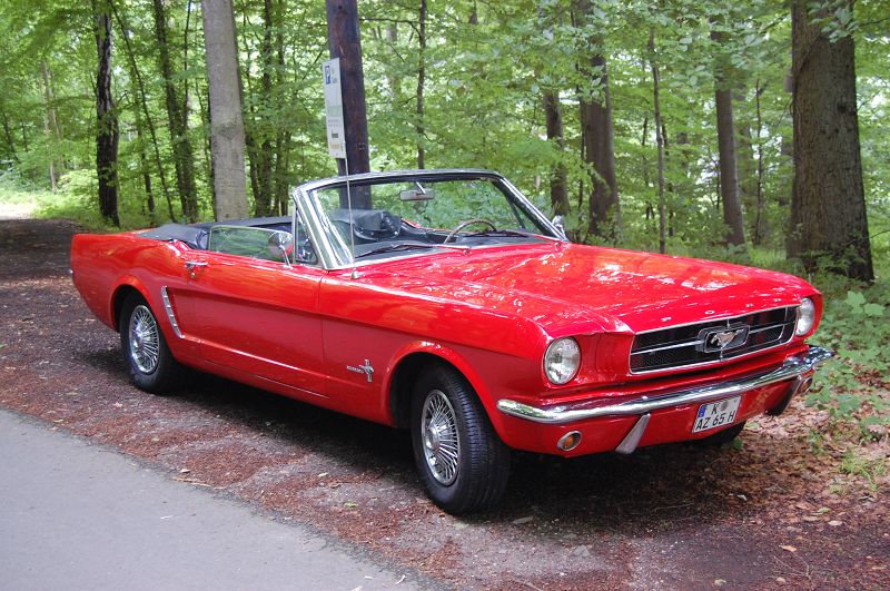 k-DSC_0031.JPG