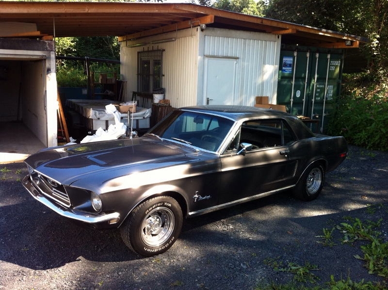 IMG-20150706-WA0002 (800x598).jpg