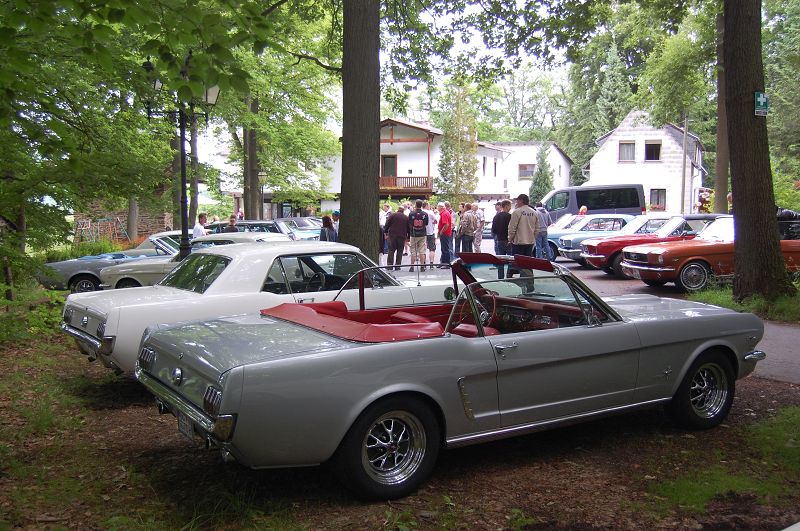 k-DSC_0037.JPG