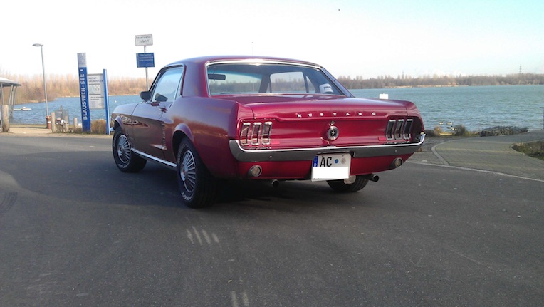 mustang3.jpg