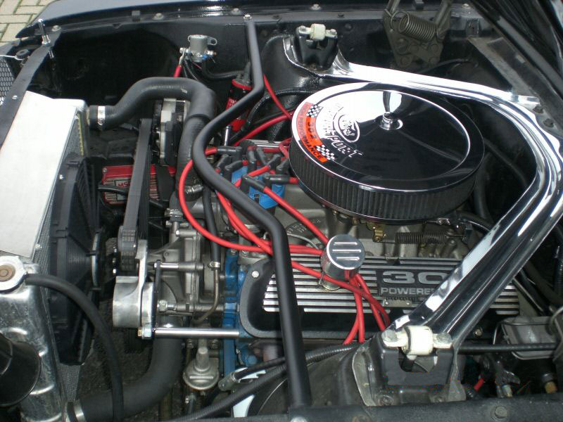 Mustang2.jpg