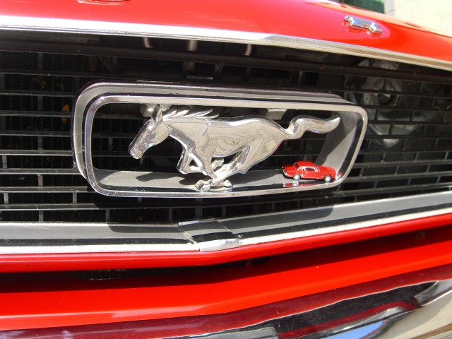 Bilder Mustang 1966 Peter Stephan 001.jpg