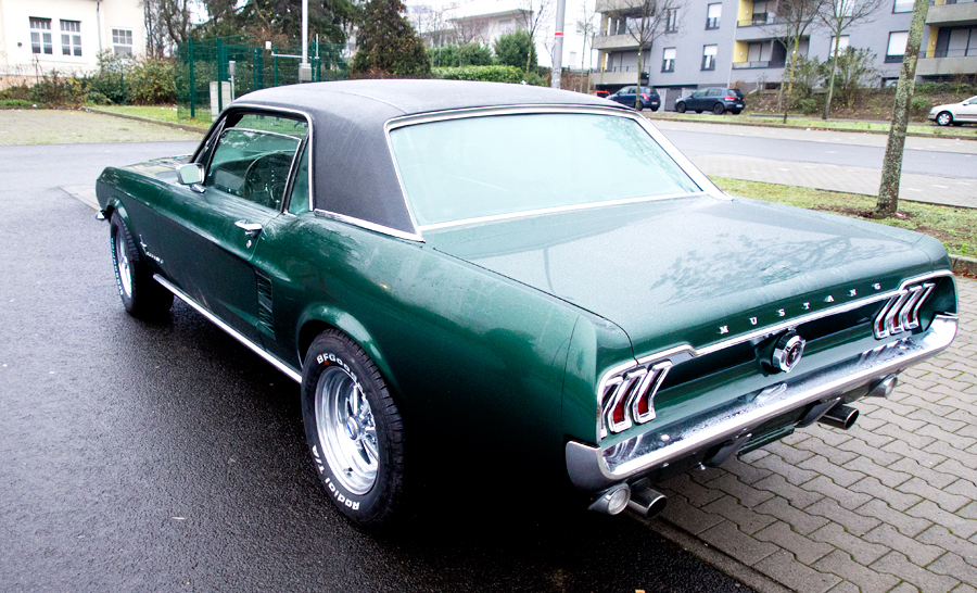 PC120015_Dezember2015.jpg