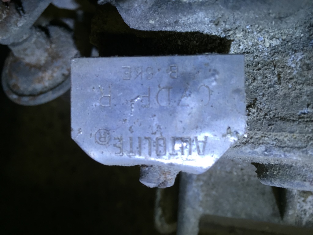 519.JPG