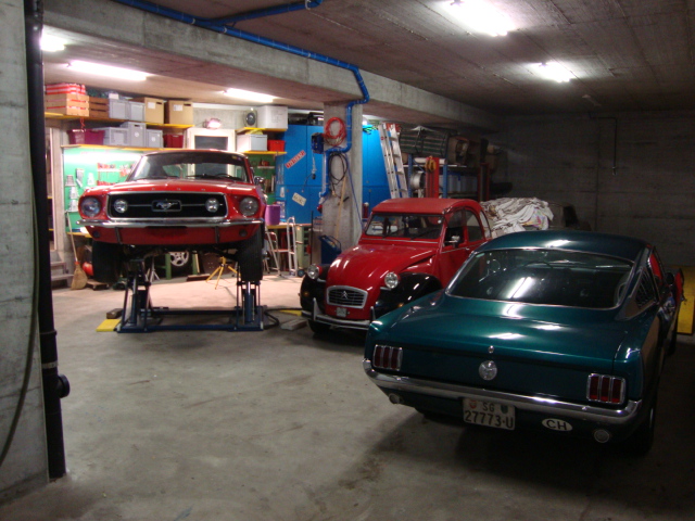 dsc02528_982.jpg