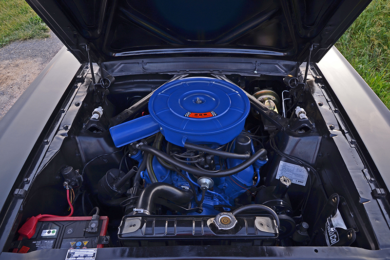 DSC_8147_web.jpg
