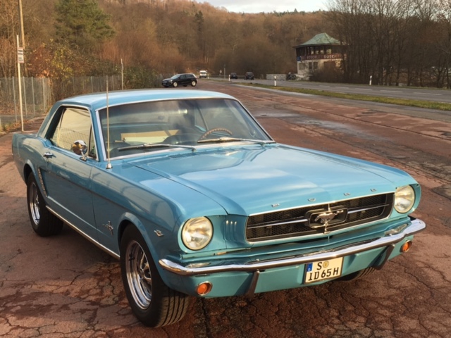 Zierleiste Motorhaube.