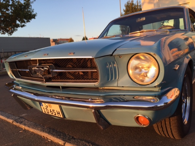 Zierleiste Motorhaube02.JPG