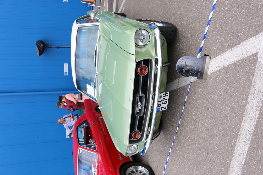 IMG_9474.JPG