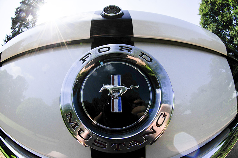 Mustang-045.jpg