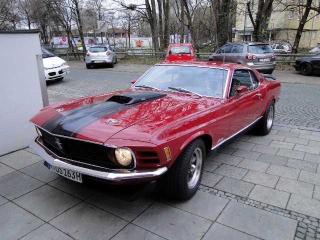 Bild1 (1024x768) (640x480).jpg