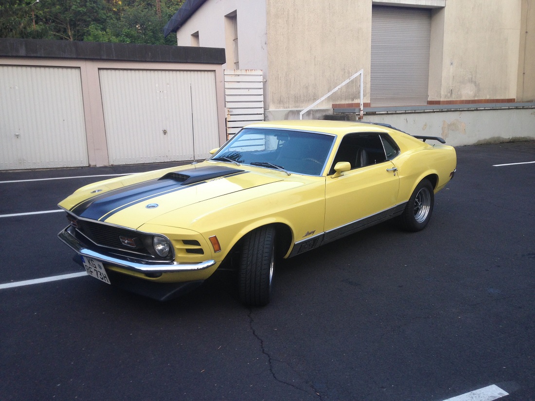 Fastback.JPG