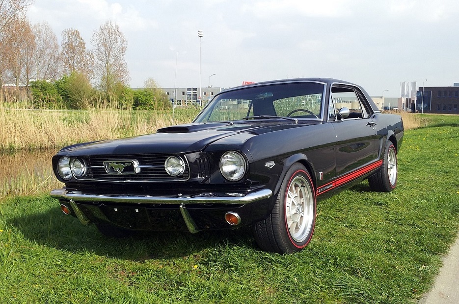 1Mustangfront.jpg