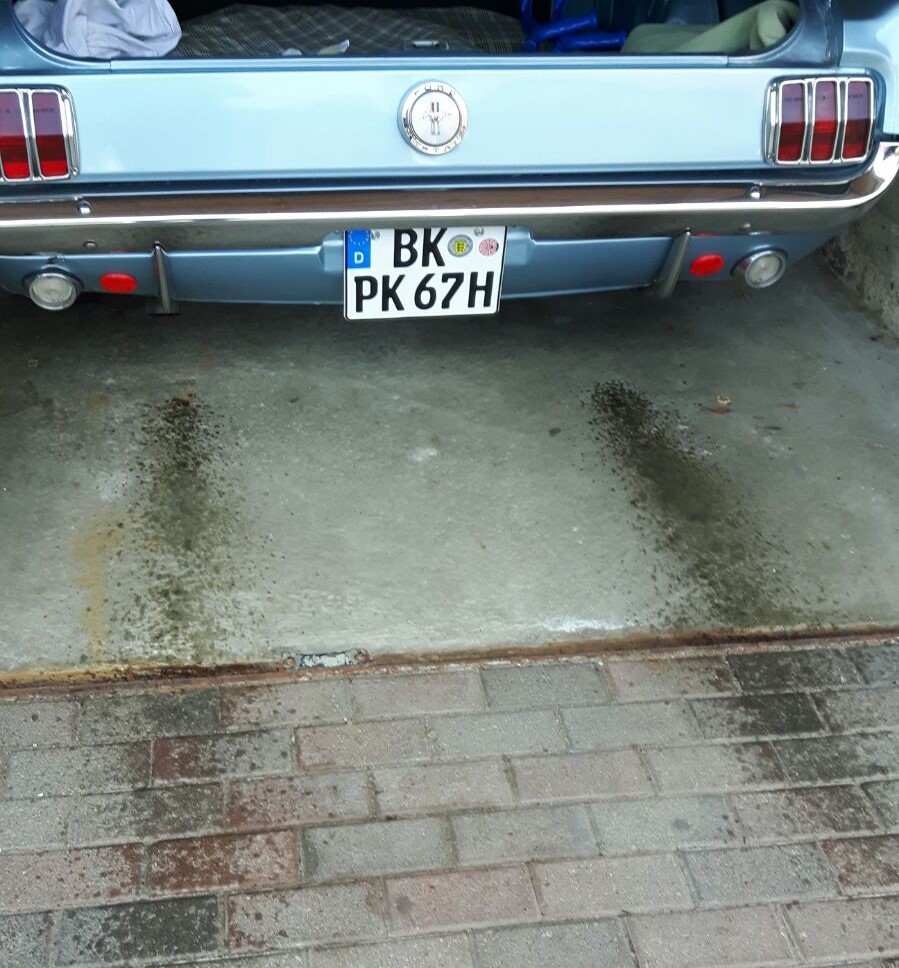 Bild zum Auswurf