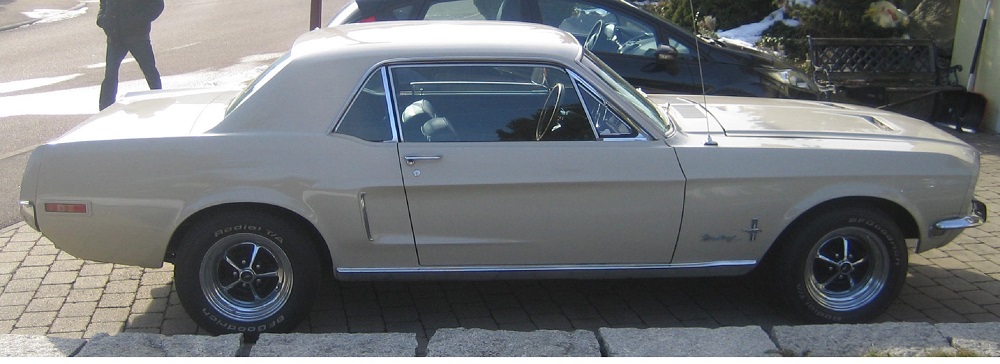 Mustang für Antz 0099.jpg