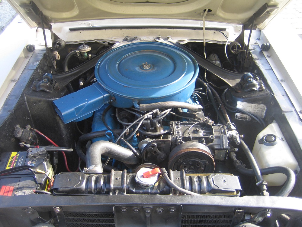 Mustang für Antz 0077.jpg