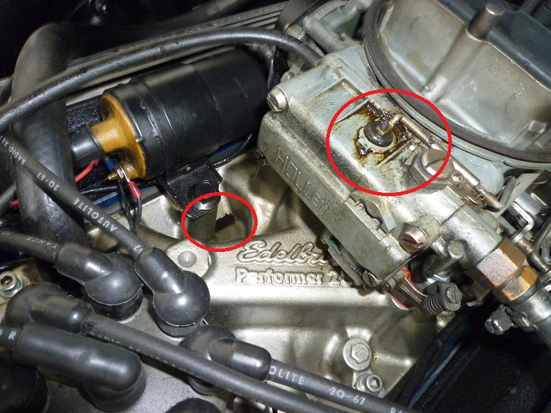 P1040829 - Kopie.JPG