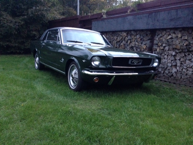 Mustang.jpeg