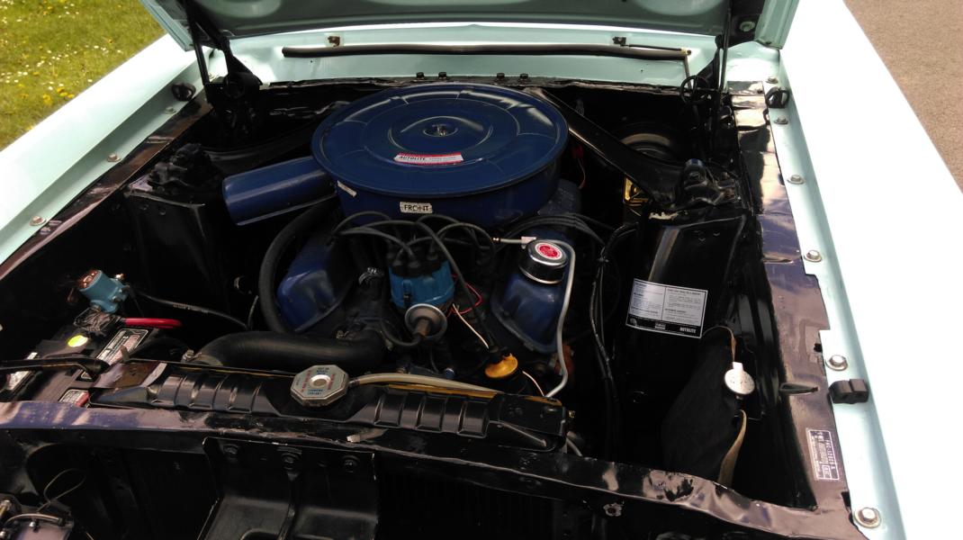 IMAG0440.JPG