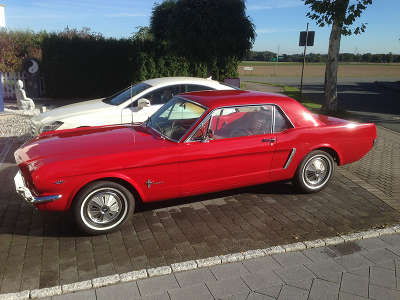 Mein Mustang