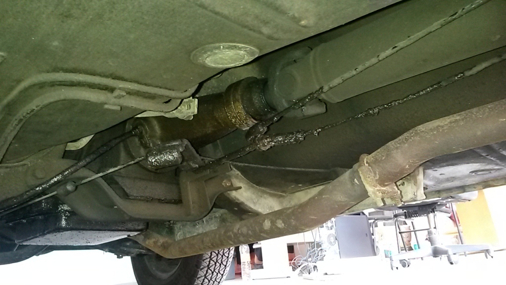 20160430_141545.jpg