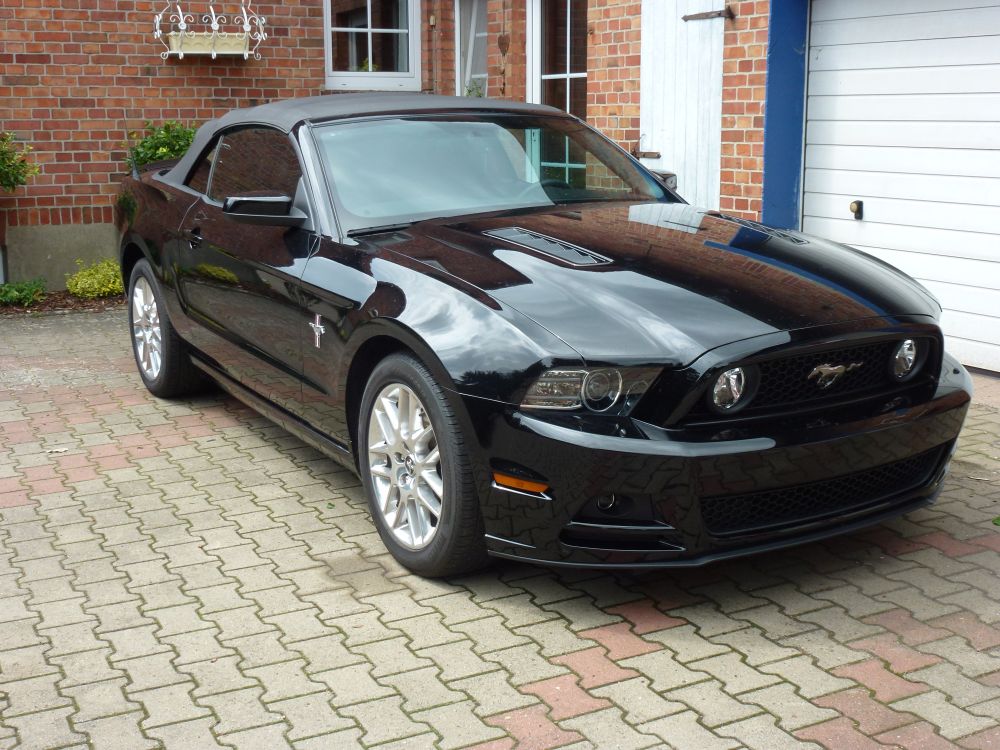 Mustang V6.jpg