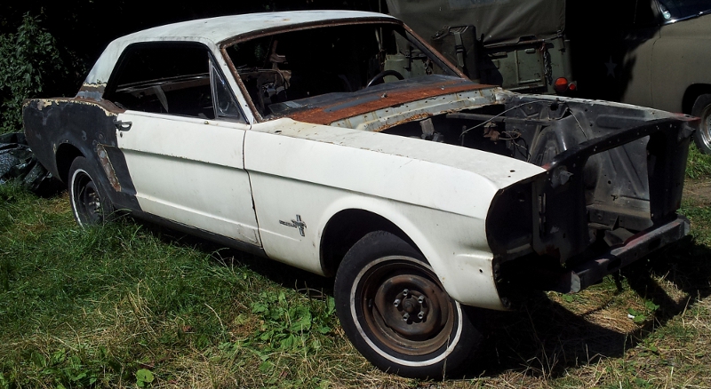 mustang01.jpg