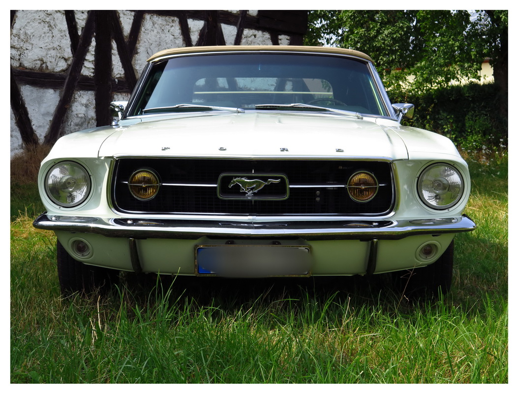 Mustang 2016 - 001_Bildgröße ändern.jpg